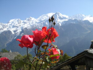 chaîne Mont Blanc_récollection Flatiere