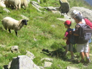 camps enfants montagne Alpes