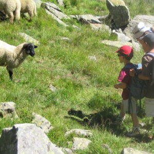 camps enfants montagne Alpes